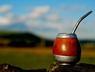 paisaje de Chile con un mate