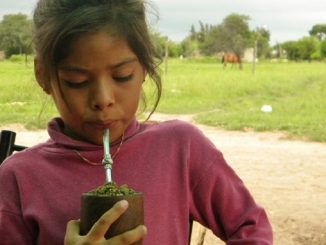 La Leyenda del Mate. Mitología y orígen de la yerba mate