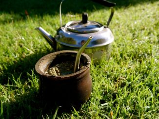 yerba mate pros contras beneficios