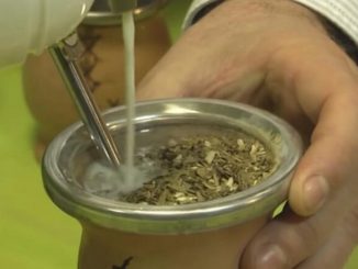 Consejos para preparar un rico mate de leche