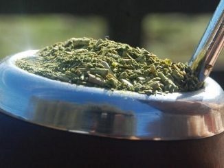 el mate y la salud