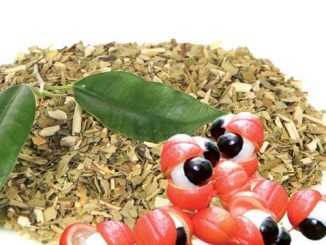 Propiedades y beneficios del mate con guaraná