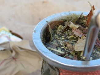 Para qué es Bueno el Mate de Tilo