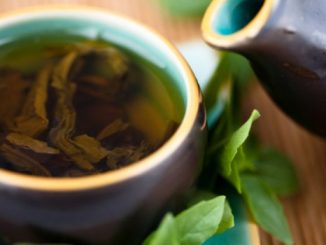 Dieta del té de yerba mate o mate cocido para adelgazar