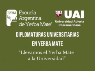 Escuela Argentina de Yerba Mate pasion cultura y conocimiento en una infusion