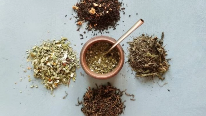 Los fans de mate toman mate con yuyos Los fans de mate toman mate con yuyos