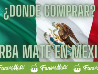 Yerba mate en México