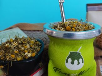 Mate con manzanilla